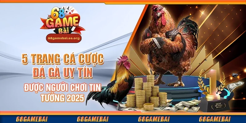 5 trang cá cược đá gà uy tín được người chơi tin tưởng 2025