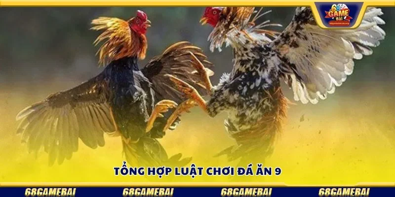 Tổng hợp luật chơi đá ăn 9