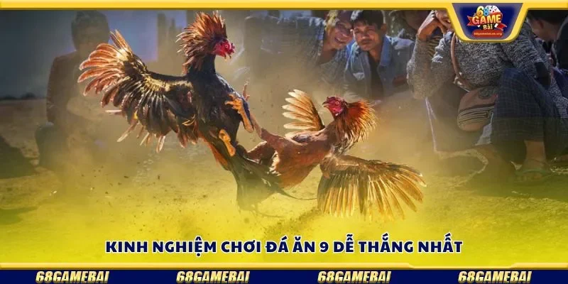 Kinh nghiệm chơi đá ăn 9 dễ thắng nhất