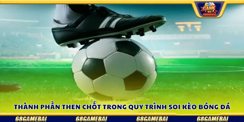 Thành phần then chốt trong quy trình soi kèo bóng đá