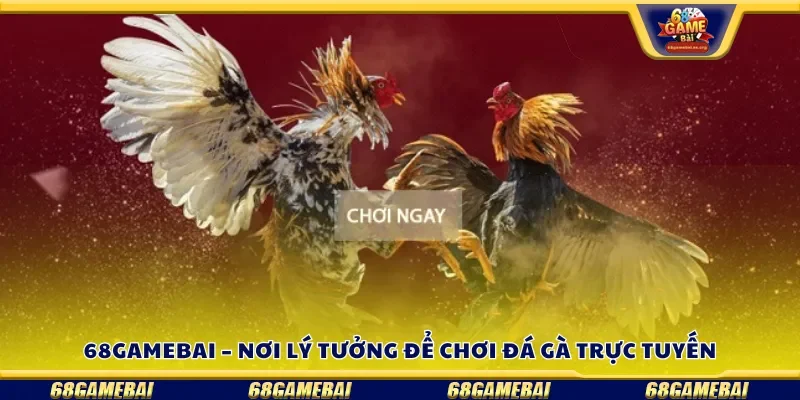 68gamebai – Nơi lý tưởng để chơi đá gà trực tuyến